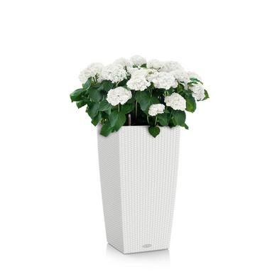 CUBICO Cottage 30 white